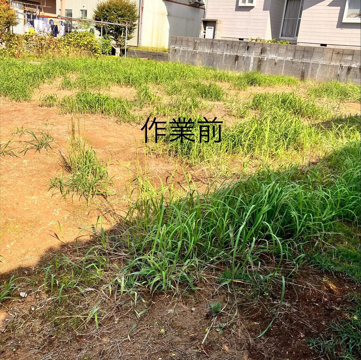 リピーター様からの草刈り依頼です‼️