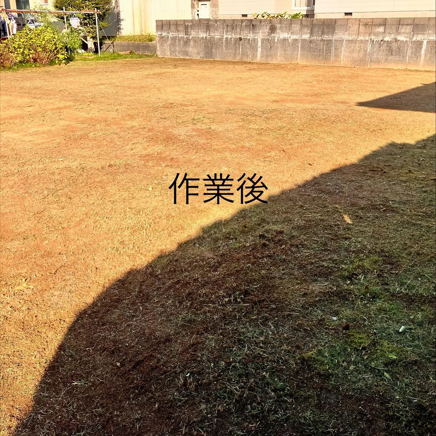 リピーター様からの草刈り依頼です‼️