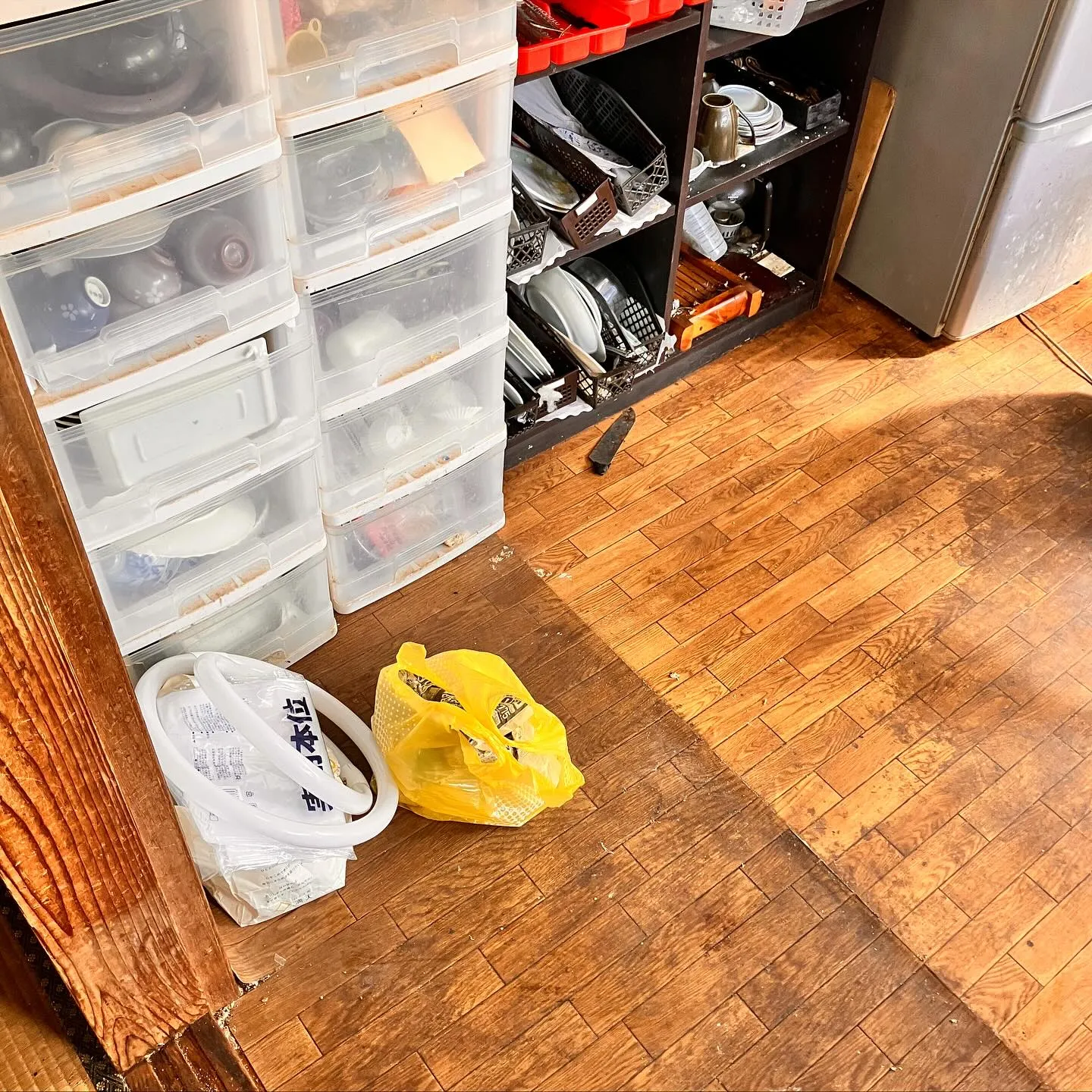 こんにちは🌟 新潟県柏崎市で皆様の「猫の手」になりたい便利屋...