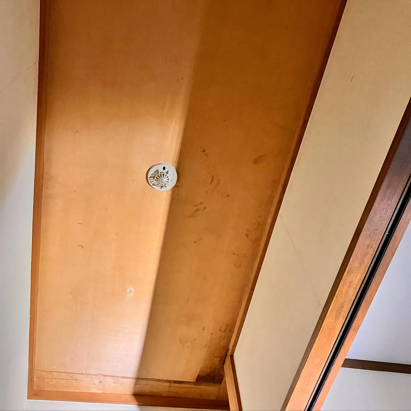 こんにちは、みなさん！