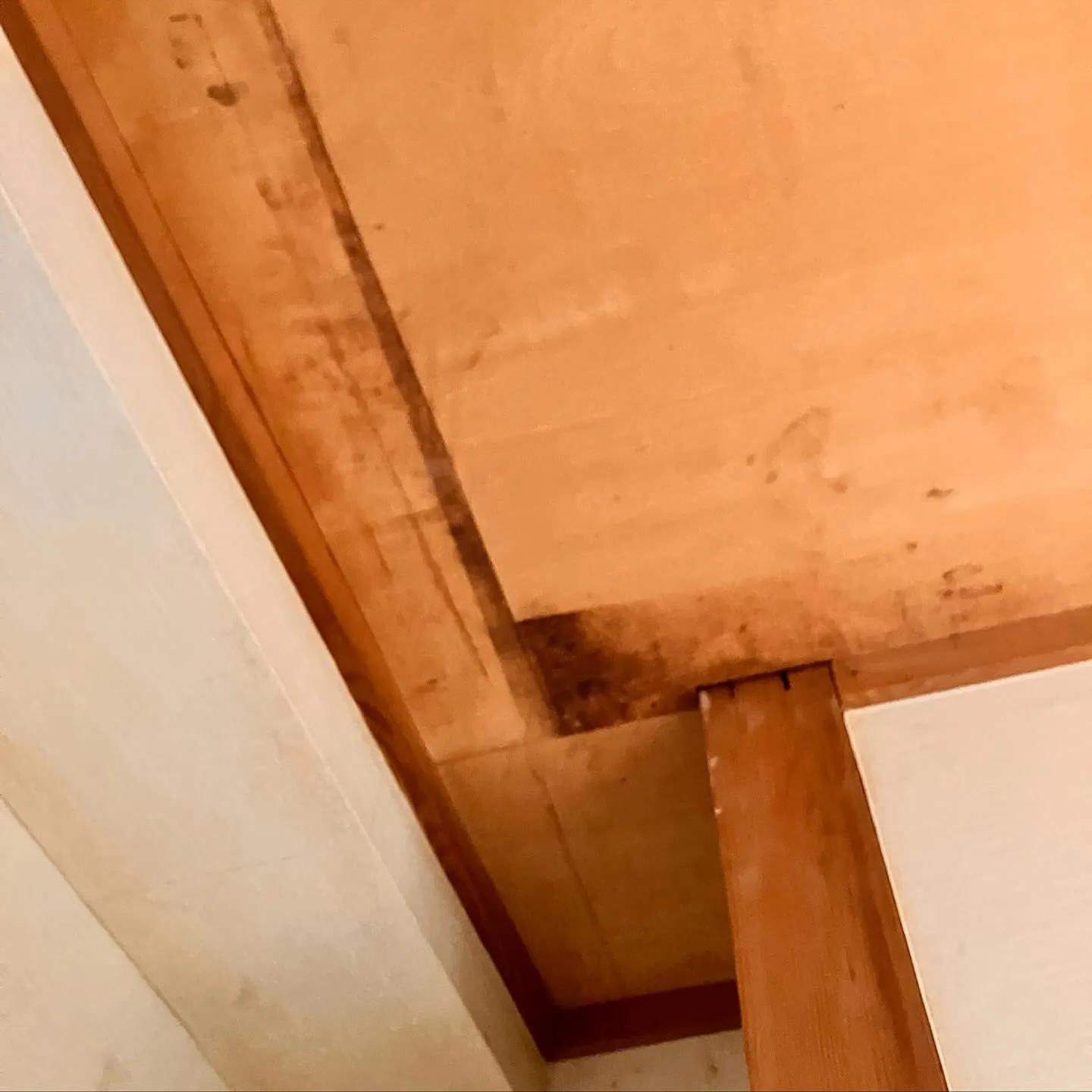 こんにちは、みなさん！