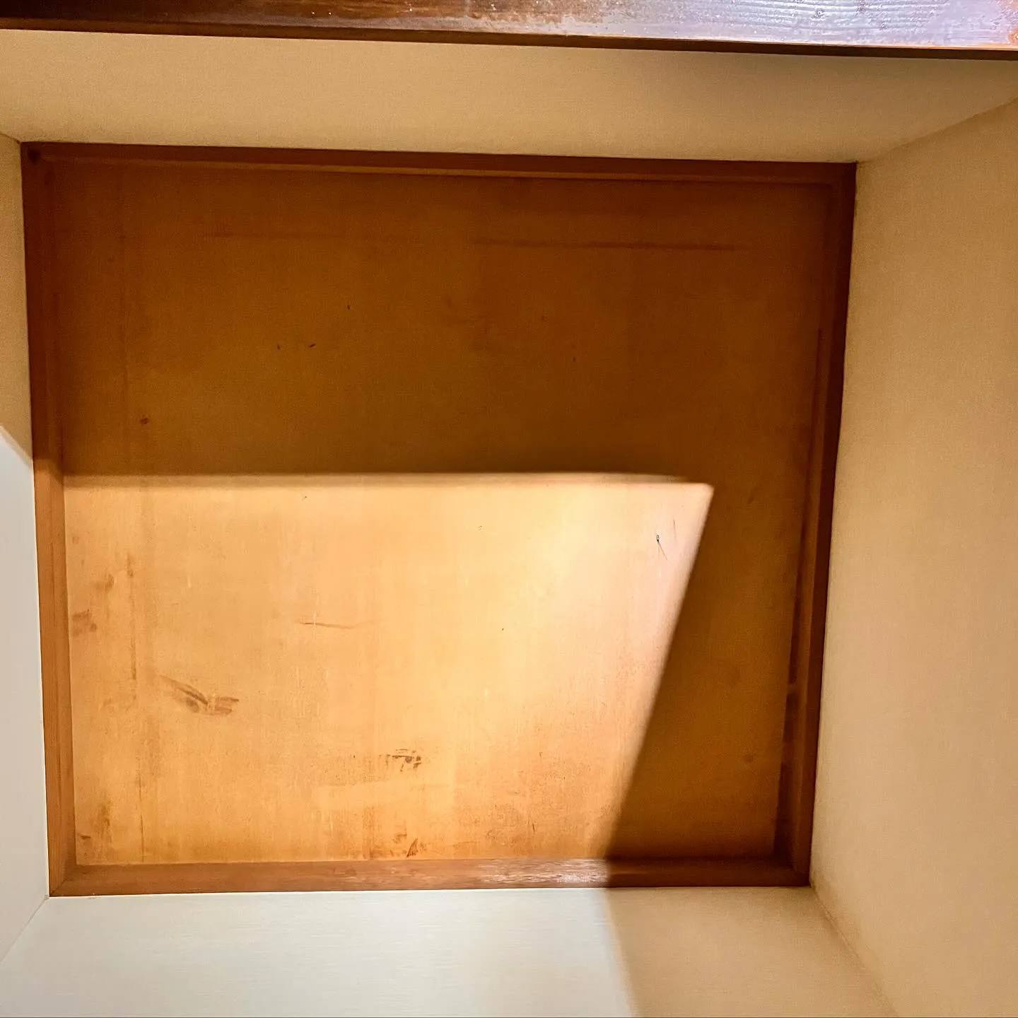 こんにちは、みなさん！