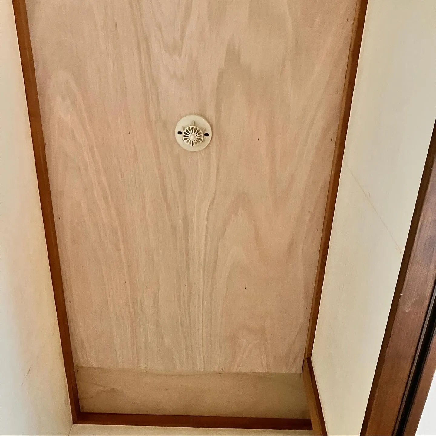 こんにちは、みなさん！