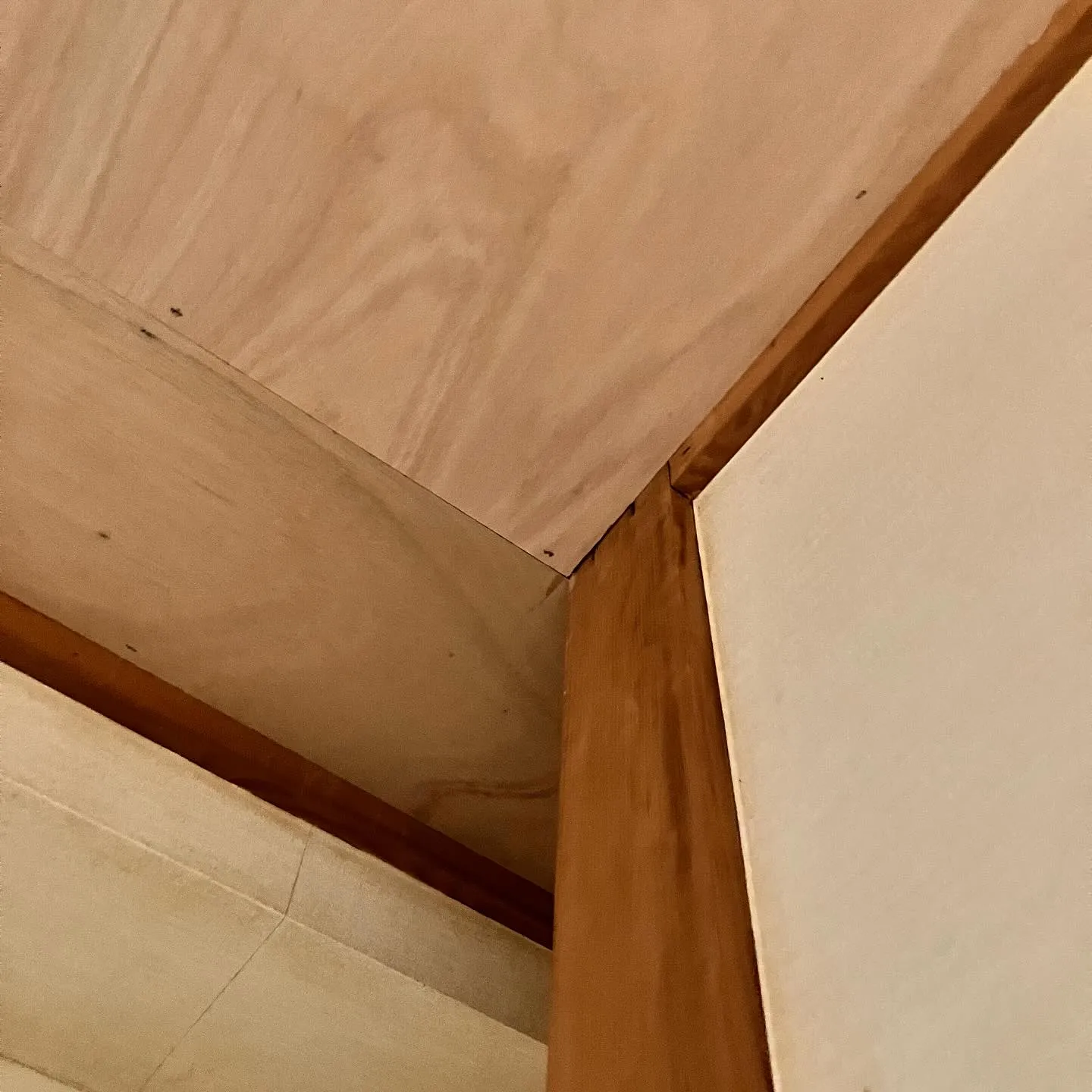 こんにちは、みなさん！