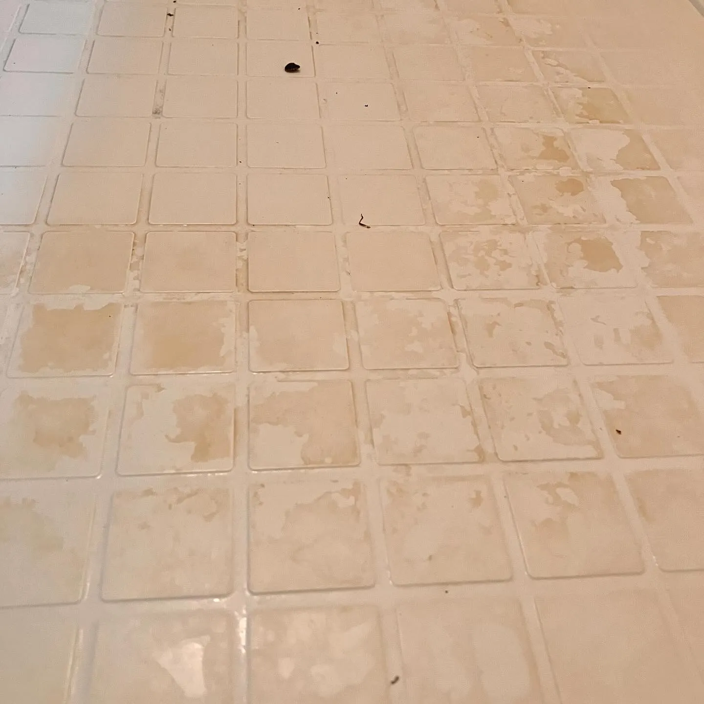 こんにちは、みなさん！