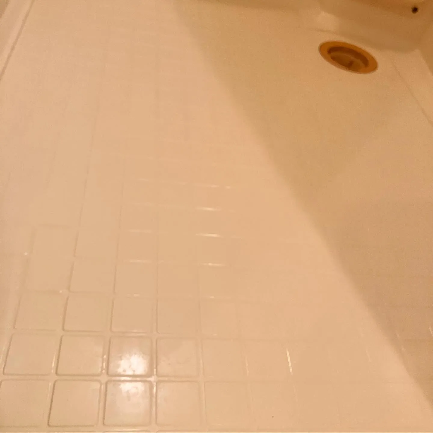 こんにちは、みなさん！