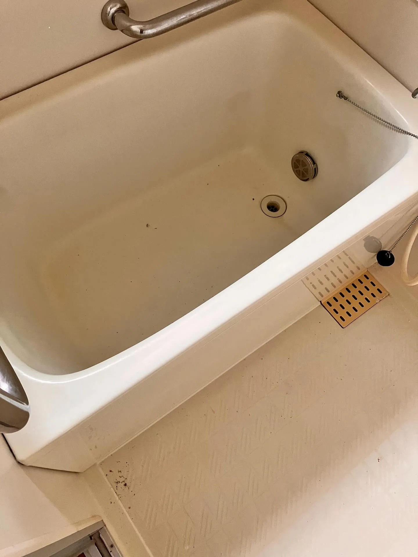 新潟県柏崎市の便利屋猫の手です🐾。