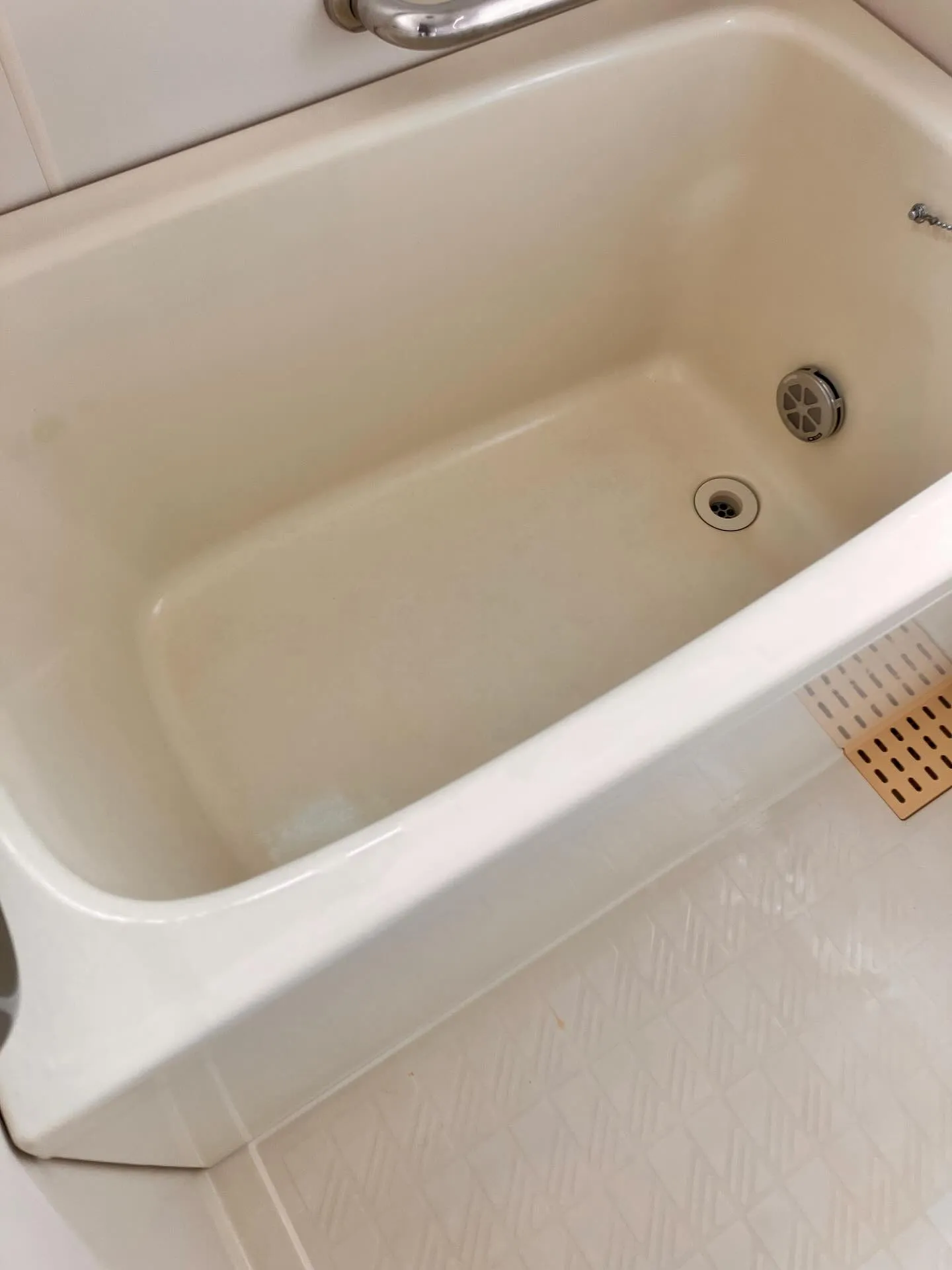 新潟県柏崎市の便利屋猫の手です🐾。