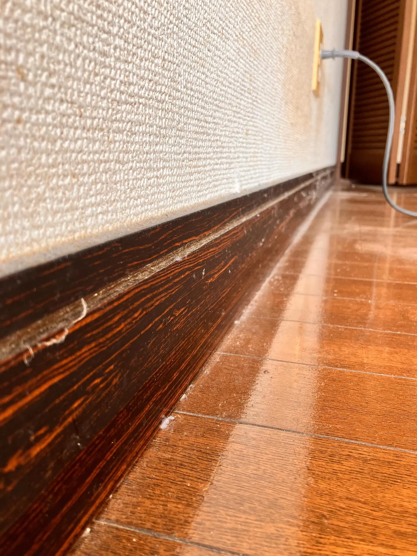 新潟県柏崎市の便利屋猫の手です🐾。