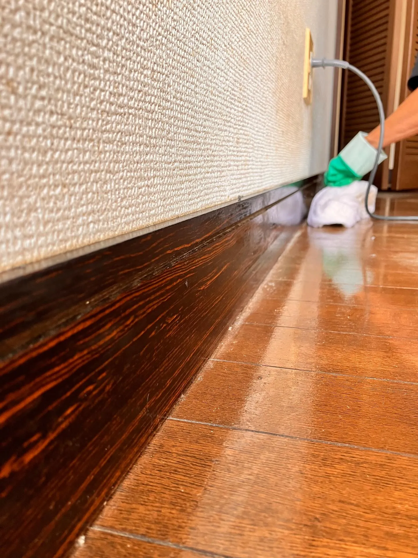 新潟県柏崎市の便利屋猫の手です🐾。