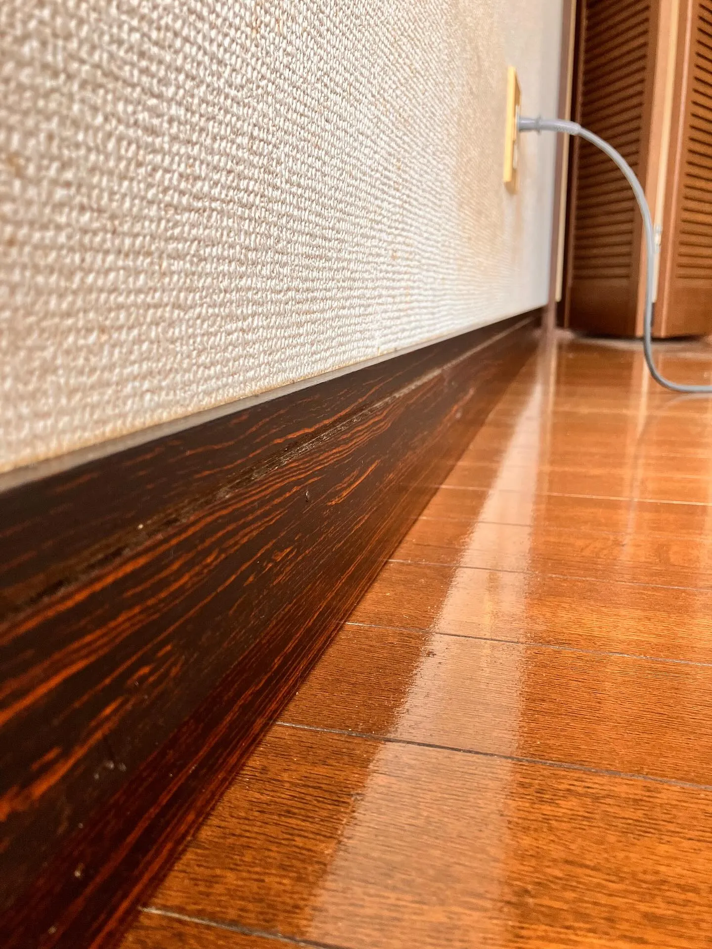 新潟県柏崎市の便利屋猫の手です🐾。