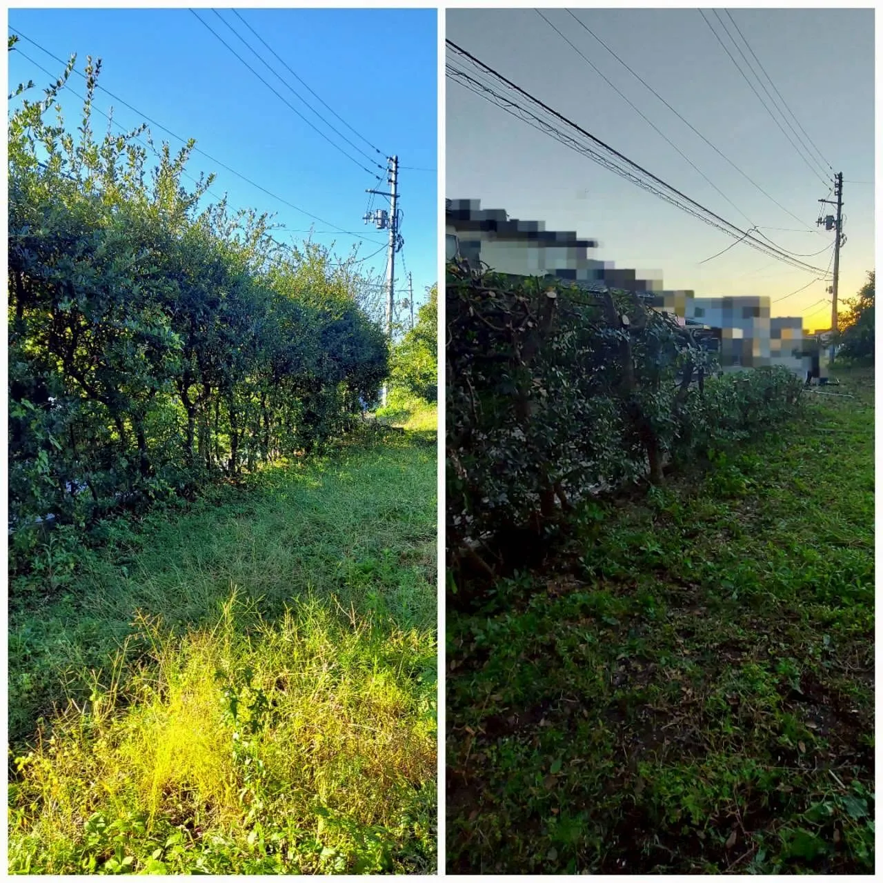 こんにちは！新潟県柏崎市の便利屋猫の手です🐾🌿✨我々は、地元...