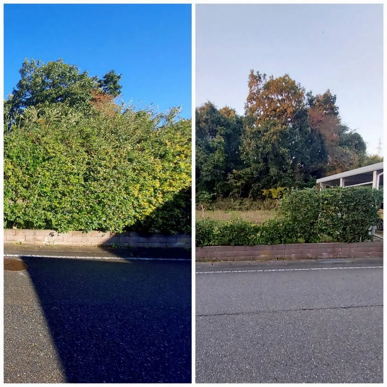 こんにちは！新潟県柏崎市の便利屋猫の手です🐾🌿✨我々は、地元...