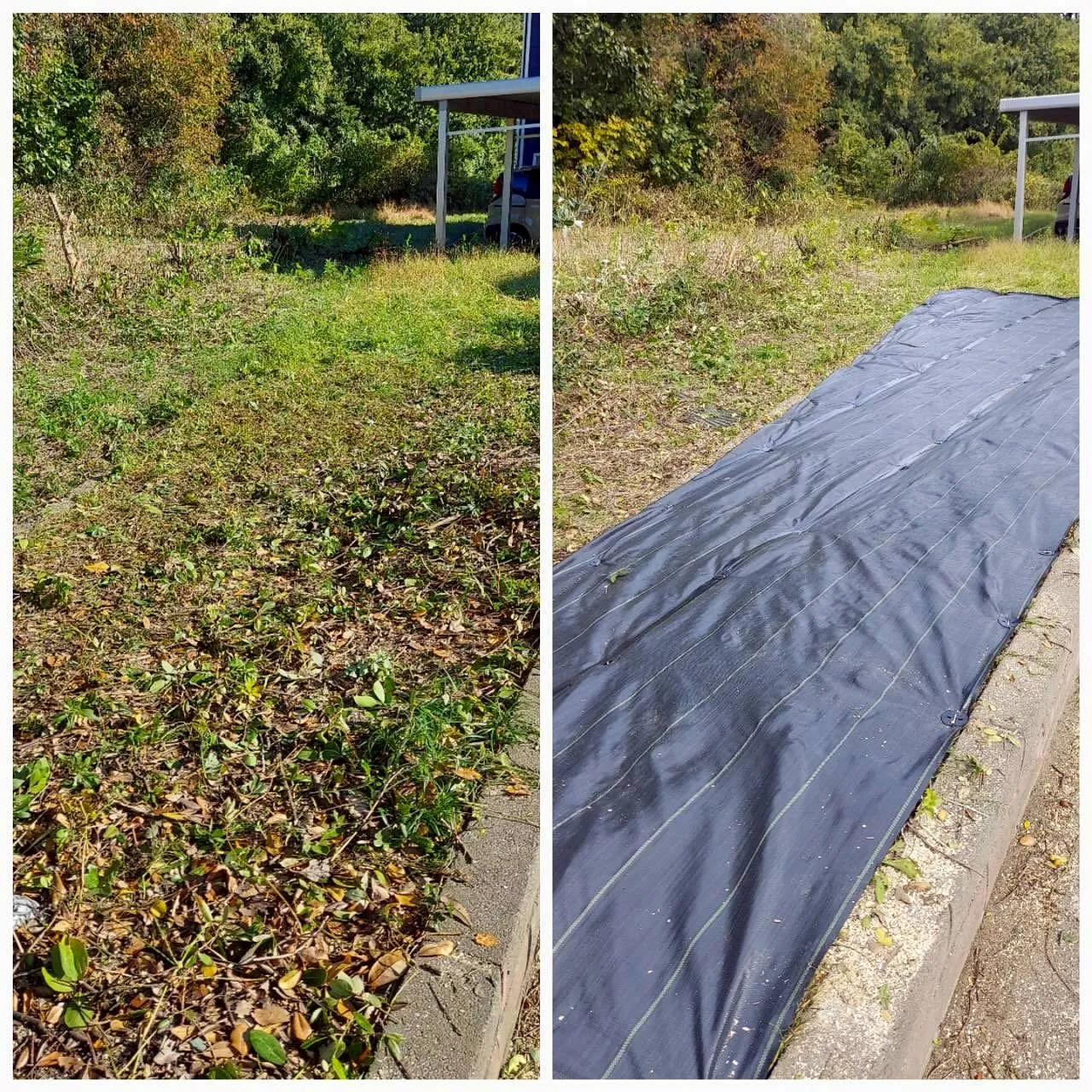 こんにちは！新潟県柏崎市の便利屋猫の手です🐾🌿✨我々は、地元...