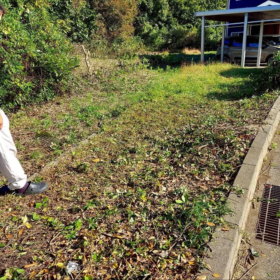こんにちは！新潟県柏崎市の便利屋猫の手です🐾🌿✨我々は、地元...