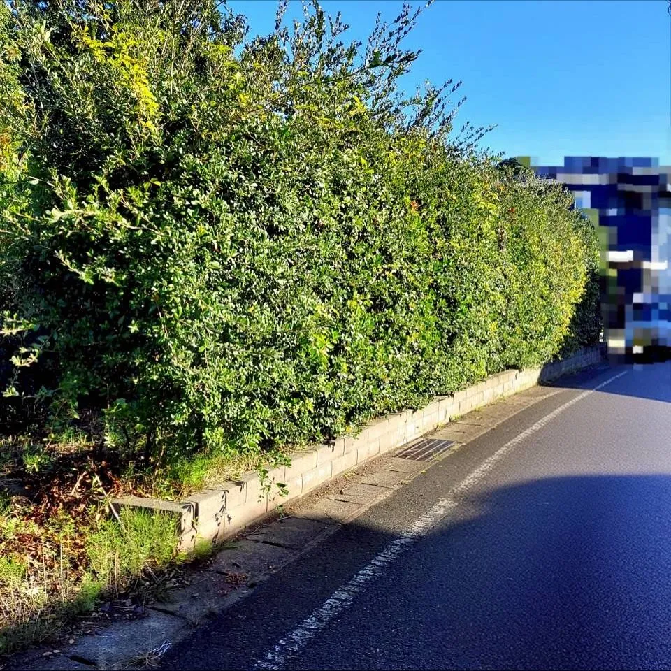 こんにちは！新潟県柏崎市の便利屋猫の手です🐾🌿✨我々は、地元...