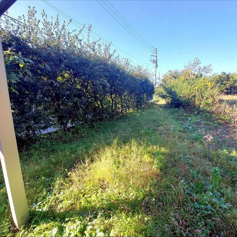 こんにちは！新潟県柏崎市の便利屋猫の手です🐾🌿✨我々は、地元...
