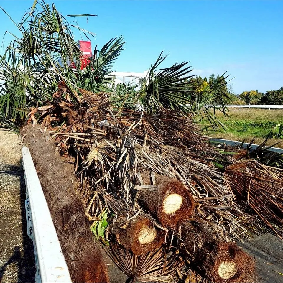 新潟県柏崎市便利屋猫の手です。