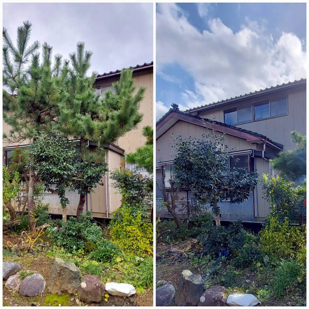 新潟県柏崎市便利屋猫の手です。