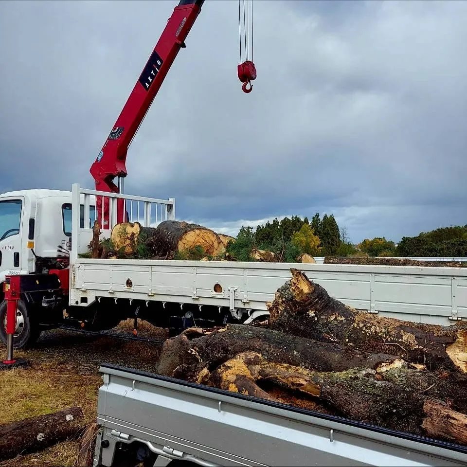 新潟県柏崎市便利屋猫の手です。