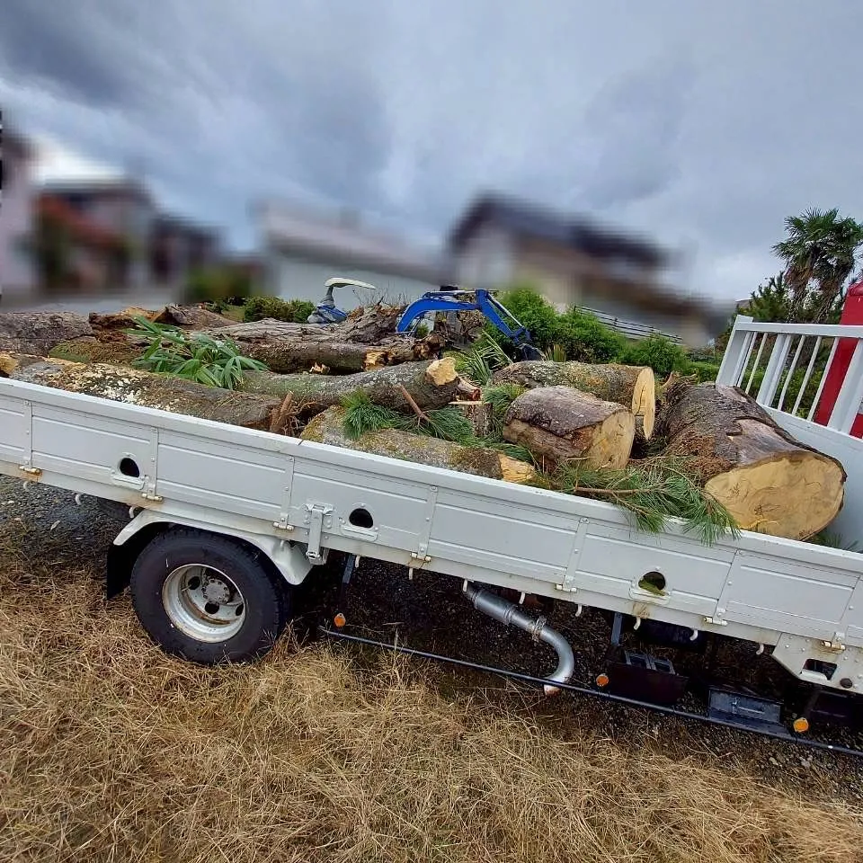 新潟県柏崎市便利屋猫の手です。