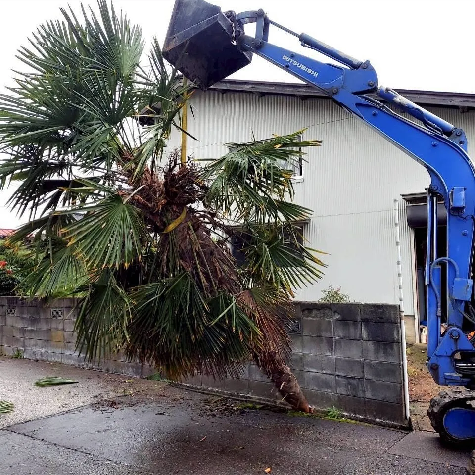 新潟県柏崎市便利屋猫の手です。