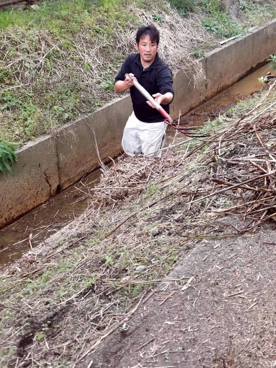 大手企業様から敷地内の草刈り依頼