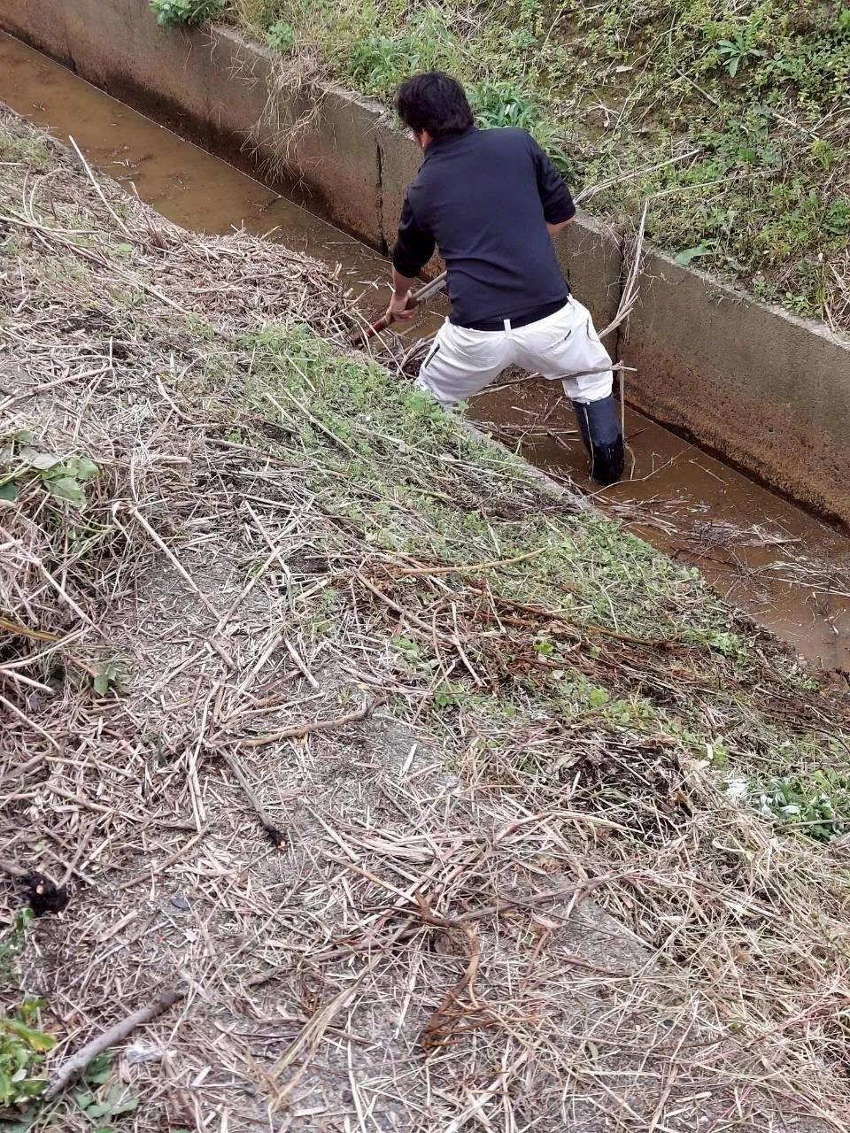 🌿11月の爽やかな日差しの中、草刈りのご依頼をいただきました...