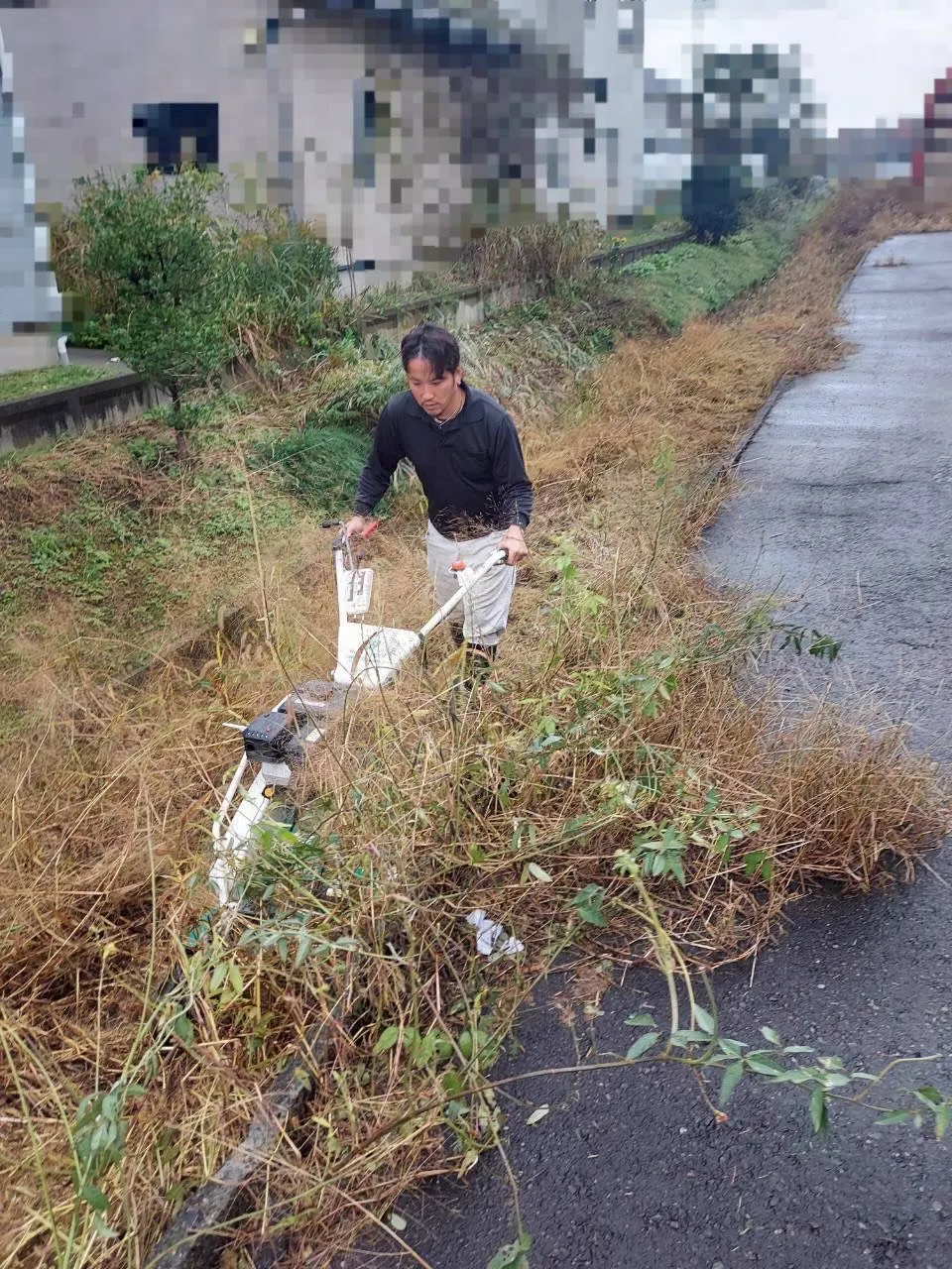 🌿11月の爽やかな日差しの中、草刈りのご依頼をいただきました...