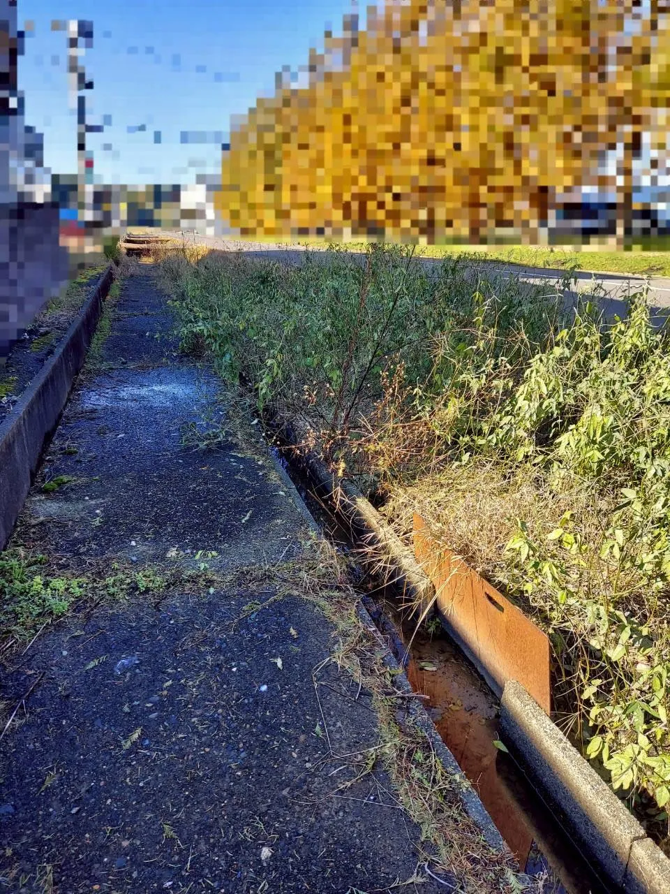 🌿11月の爽やかな日差しの中、草刈りのご依頼をいただきました...