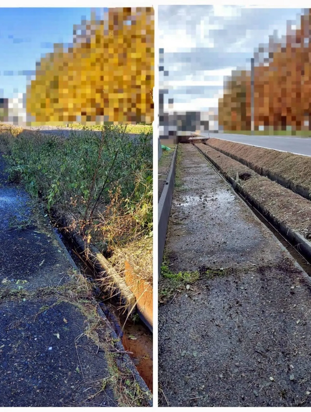 🌿11月の爽やかな日差しの中、草刈りのご依頼をいただきました...