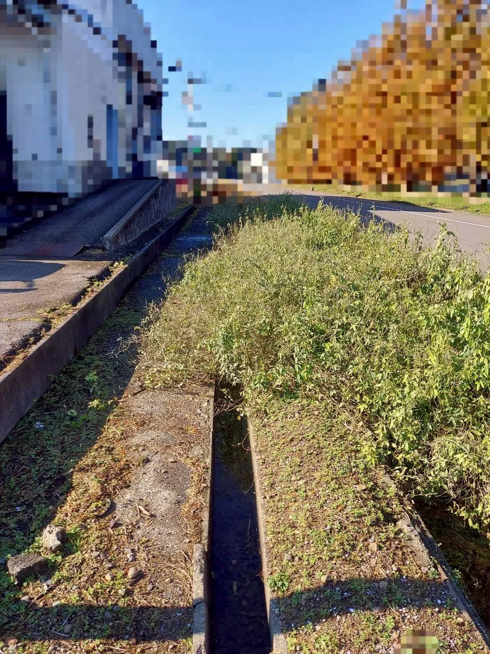 🌿11月の爽やかな日差しの中、草刈りのご依頼をいただきました...