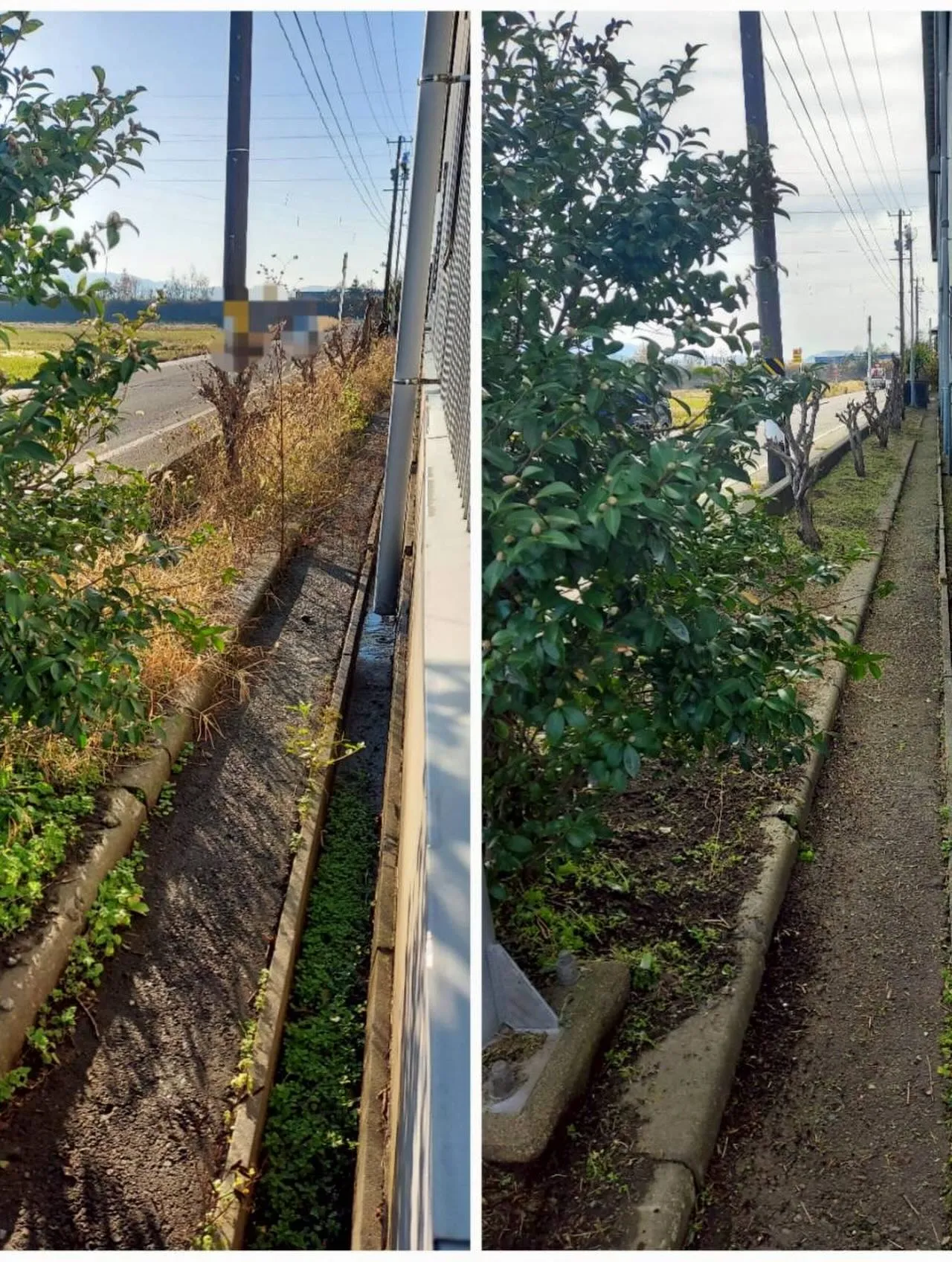 🌿11月の爽やかな日差しの中、草刈りのご依頼をいただきました...