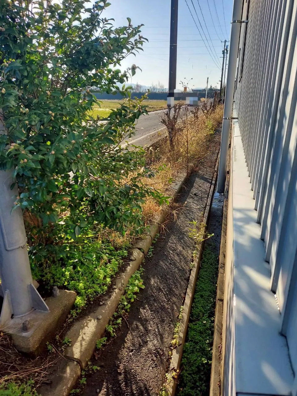 🌿11月の爽やかな日差しの中、草刈りのご依頼をいただきました...