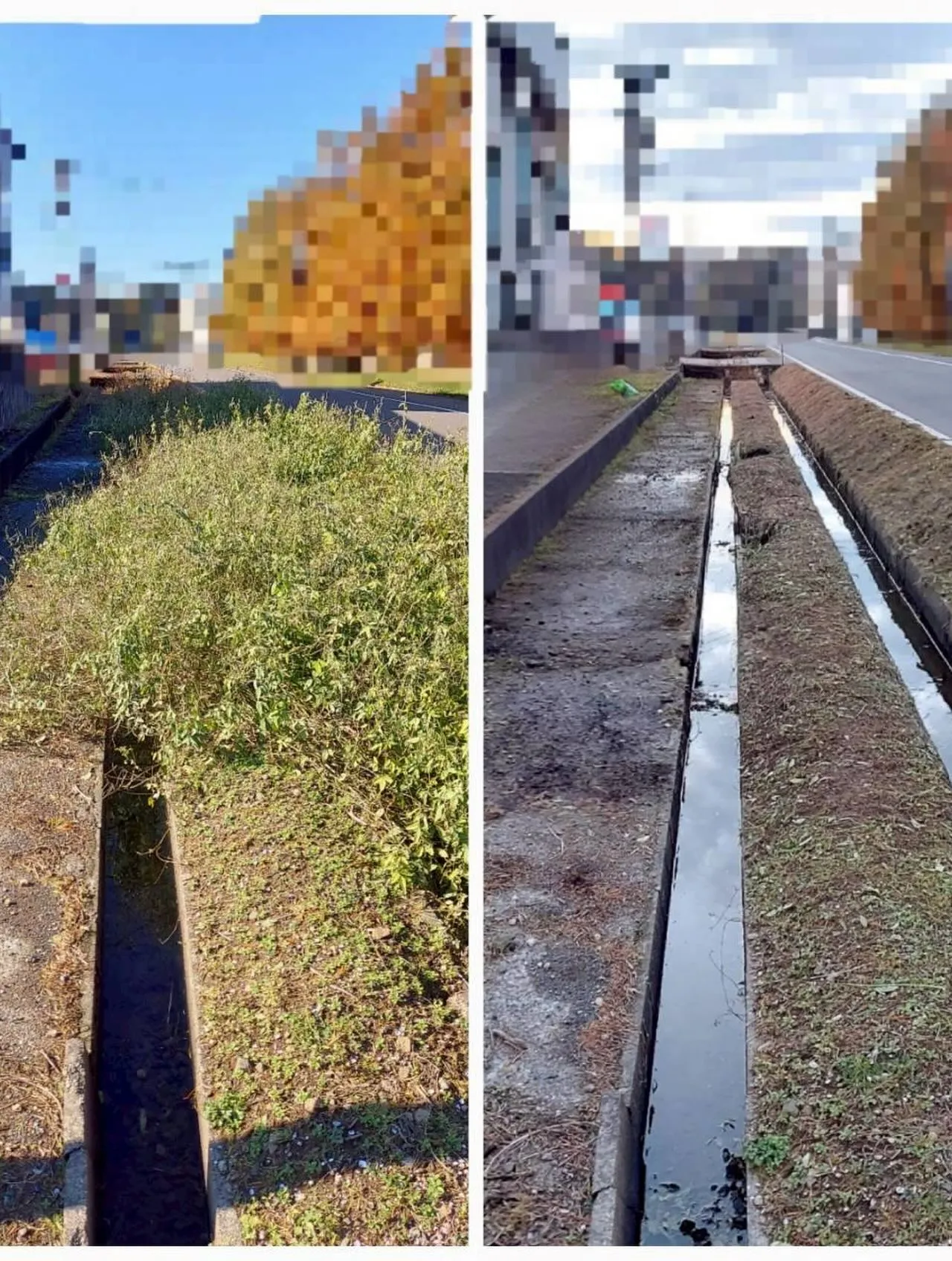 🌿11月の爽やかな日差しの中、草刈りのご依頼をいただきました...