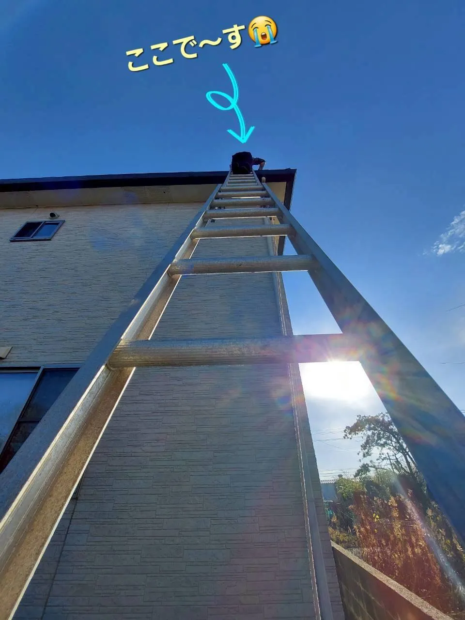 こんにちは！今日はちょっとドキドキするお仕事をしてきました😅