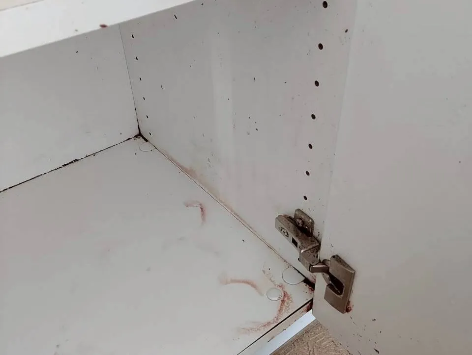 年末の忙しさが増えるこの時期、皆様のお手伝いをさせていただく...