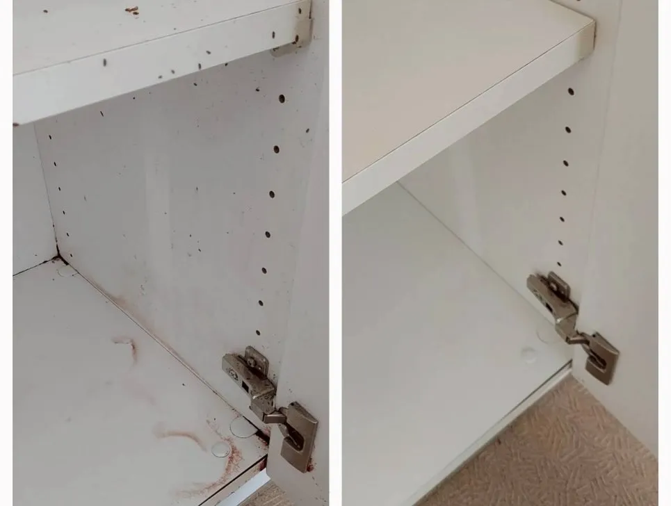 年末の忙しさが増えるこの時期、皆様のお手伝いをさせていただく...