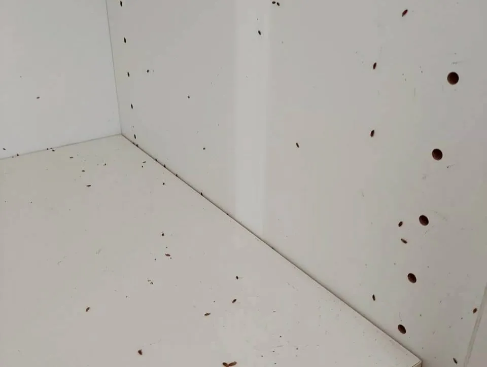 年末の忙しさが増えるこの時期、皆様のお手伝いをさせていただく...