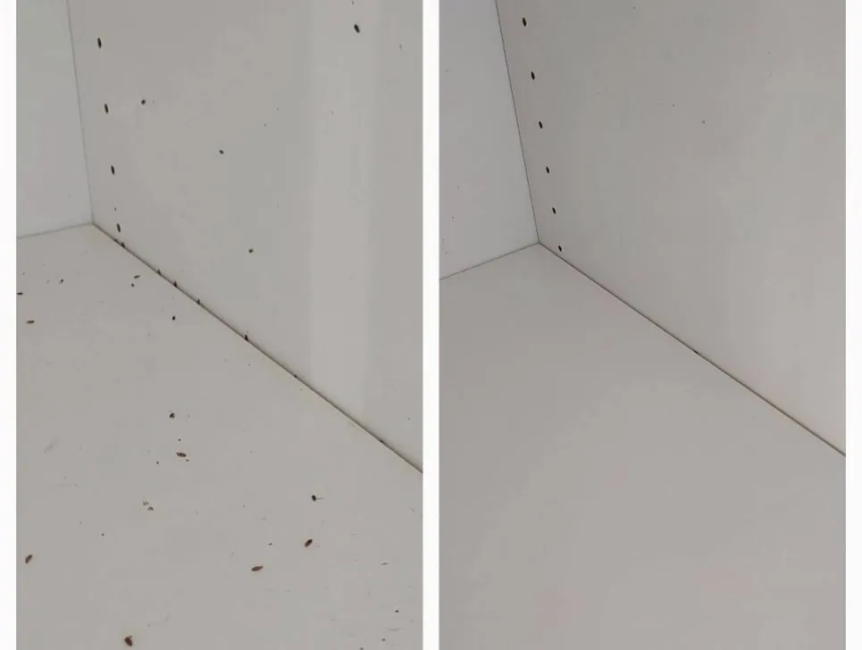 年末の忙しさが増えるこの時期、皆様のお手伝いをさせていただく...