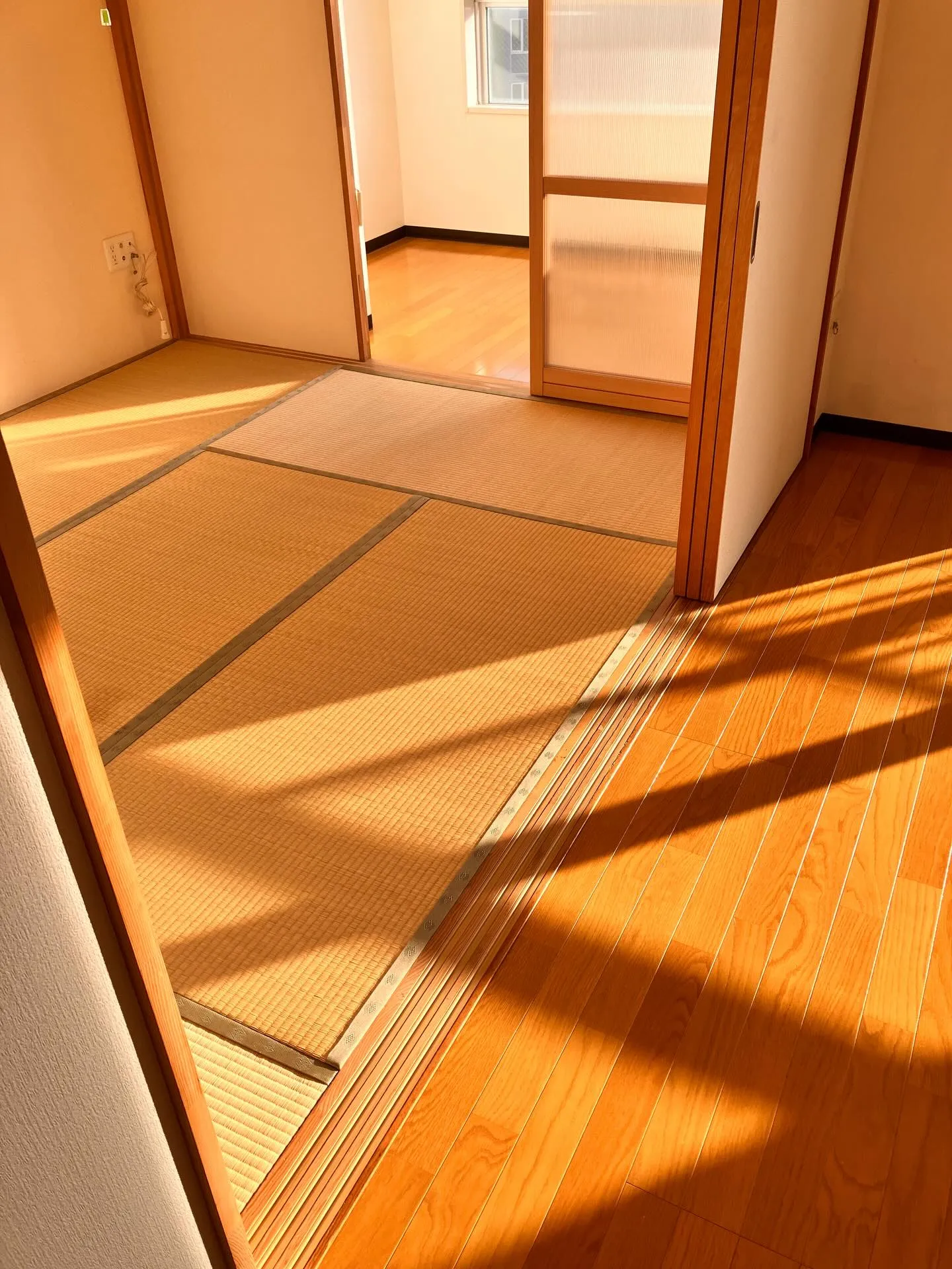 年末は新たな始まりの時期ですね！🔄✨