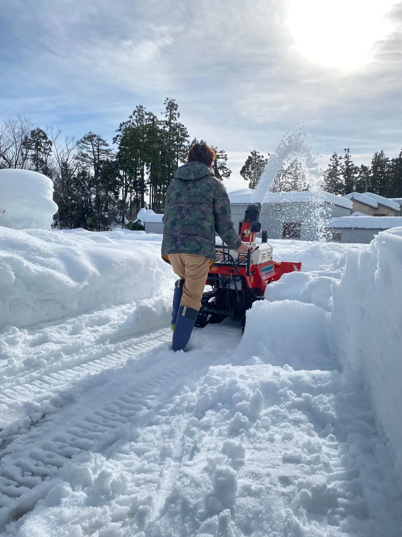 こんにちは、便利屋猫の手です😺！