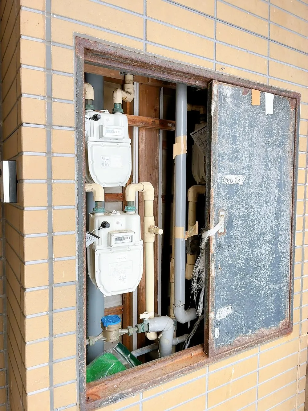 ハクビシン対策と除雪作業