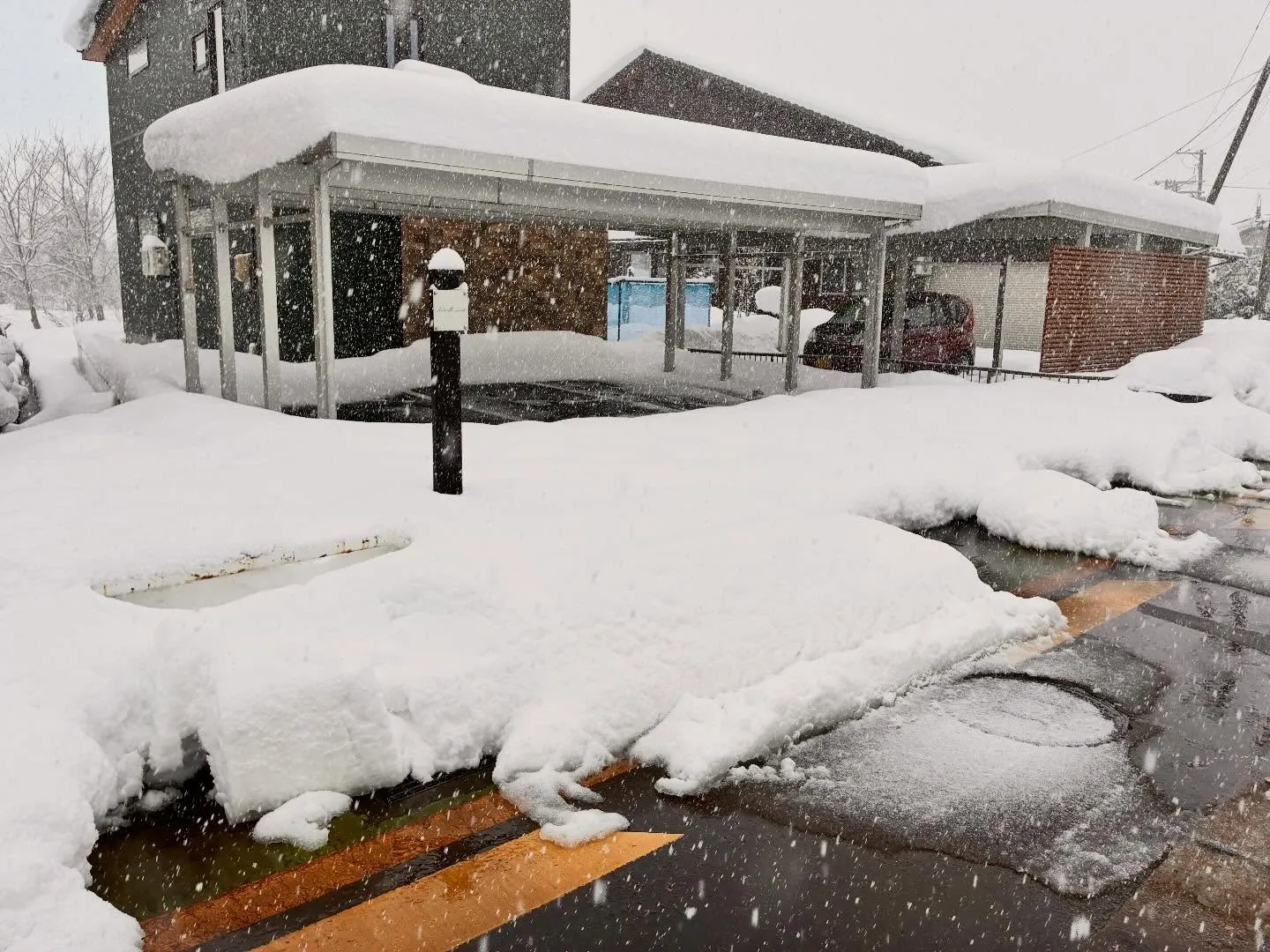 新潟県柏崎市便利屋猫の手！