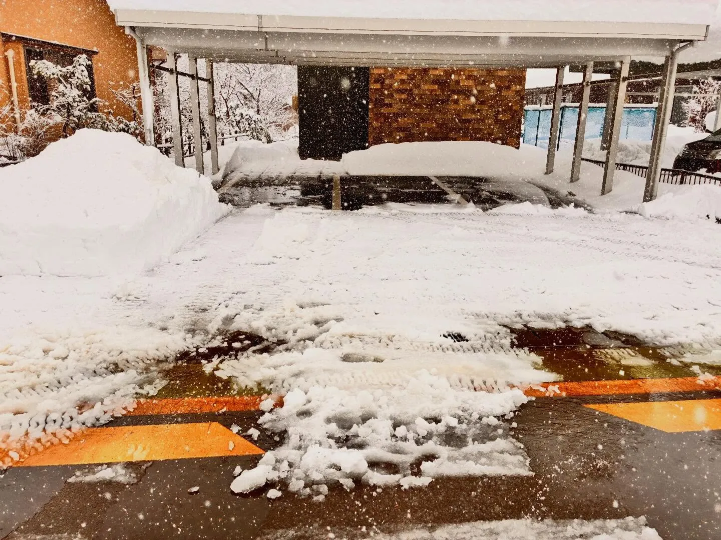 新潟県柏崎市便利屋猫の手！