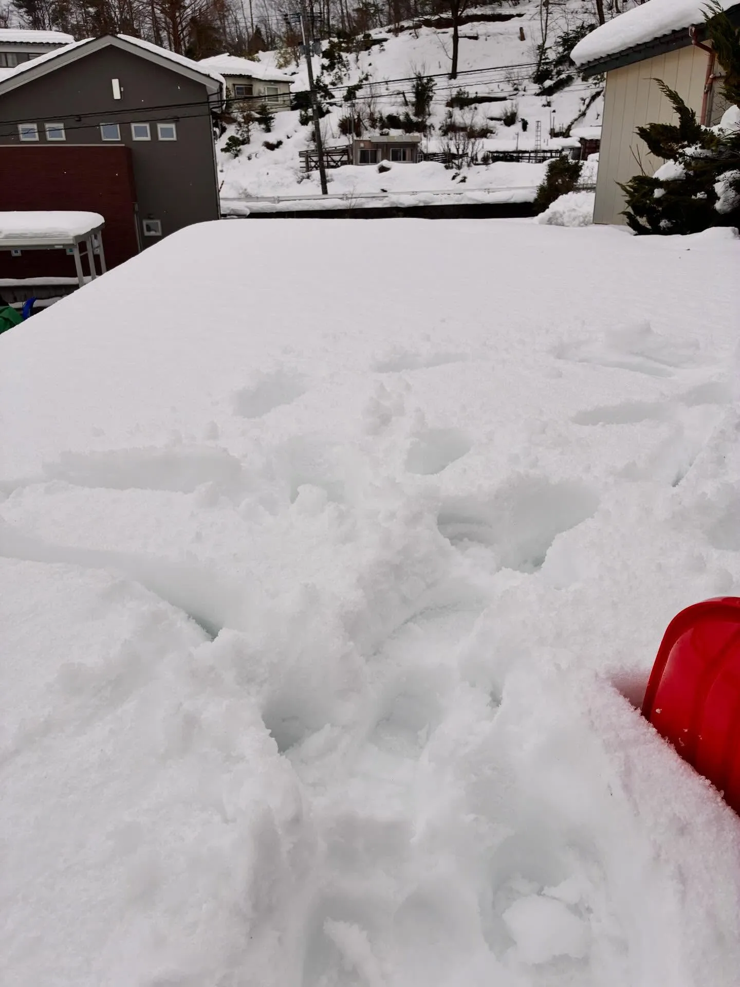 柏崎市便利屋猫の手は本日も除雪ばかり💦