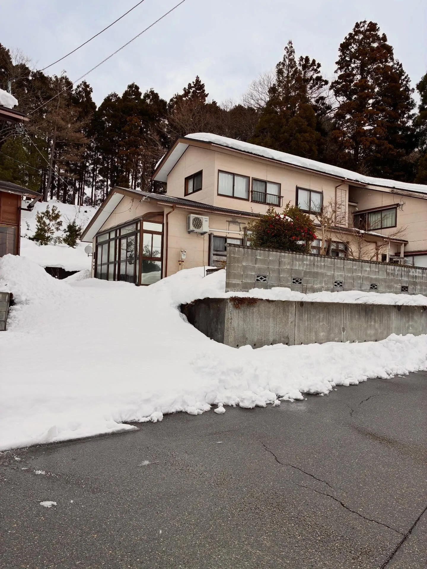 柏崎市便利屋猫の手は本日も除雪ばかり💦