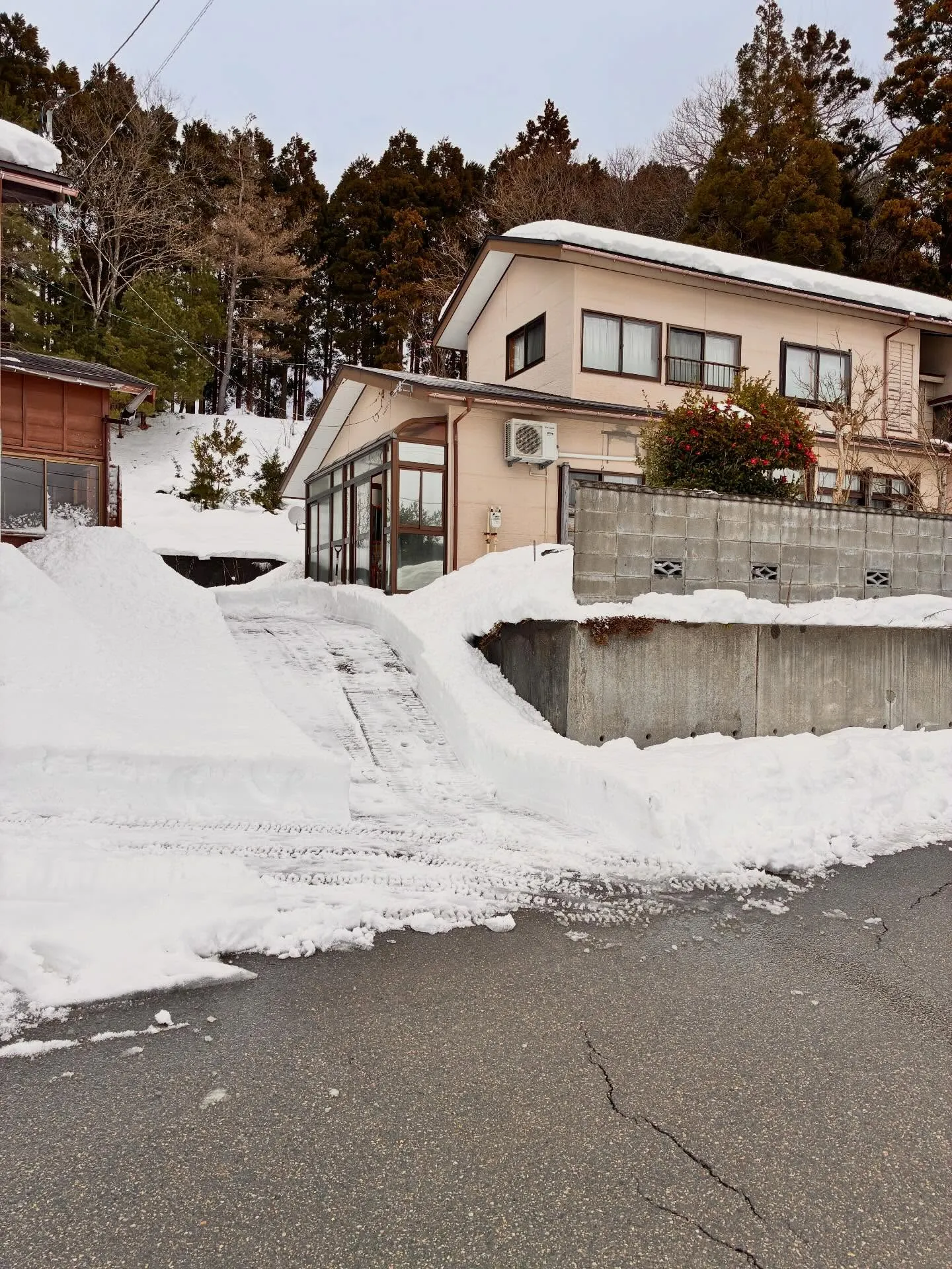 柏崎市便利屋猫の手は本日も除雪ばかり💦