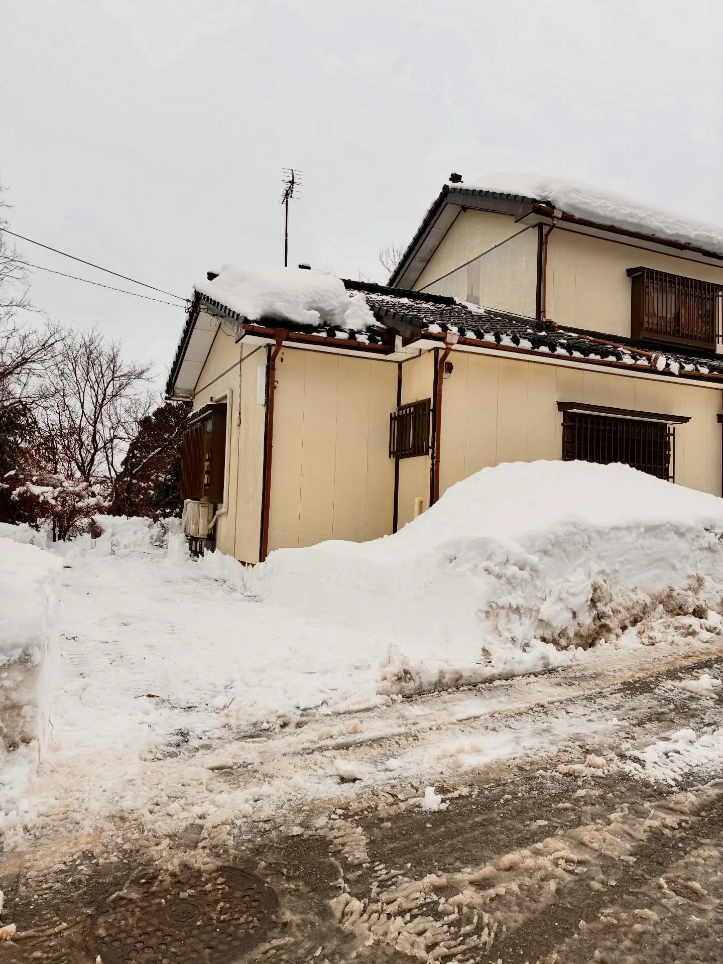 新潟県柏崎市の便利屋猫の手です。