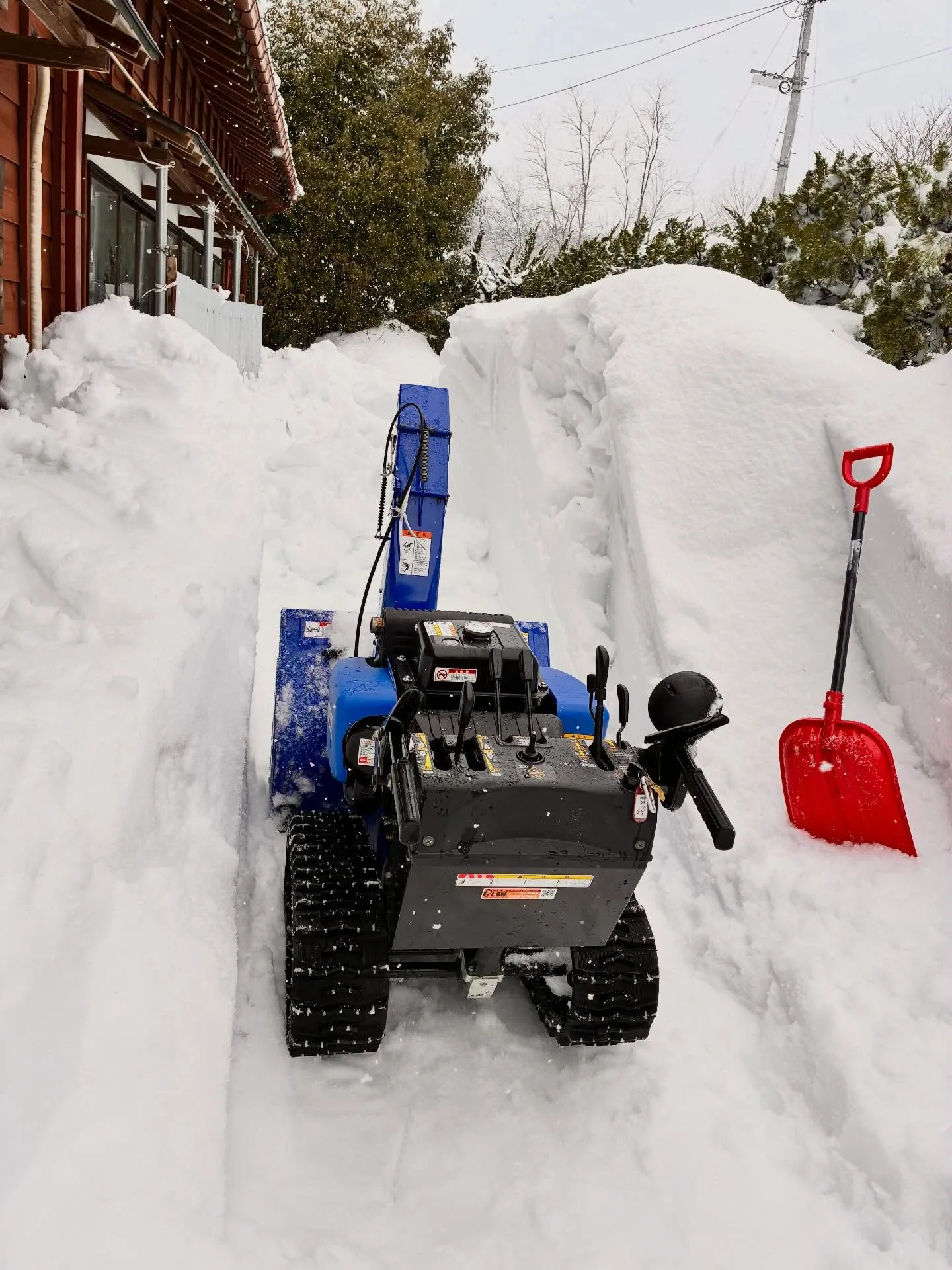 新潟県柏崎市の便利屋猫の手です。